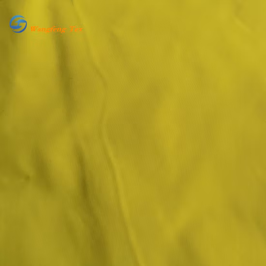 Wuhan Textile 100%Polyester Micro Polar Fleece Quick Drying Compound Knitting Fabric for Garment